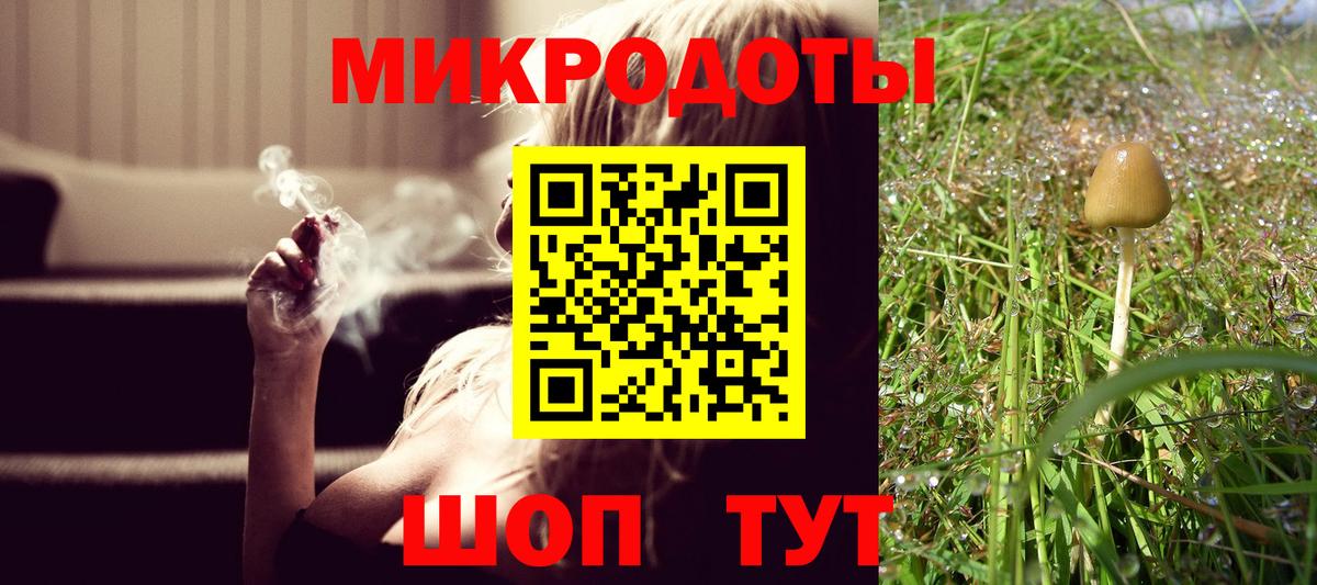 Псилоцибиновые грибы MAGIC MUSHROOMS  Вход с VPN  Обнинск 